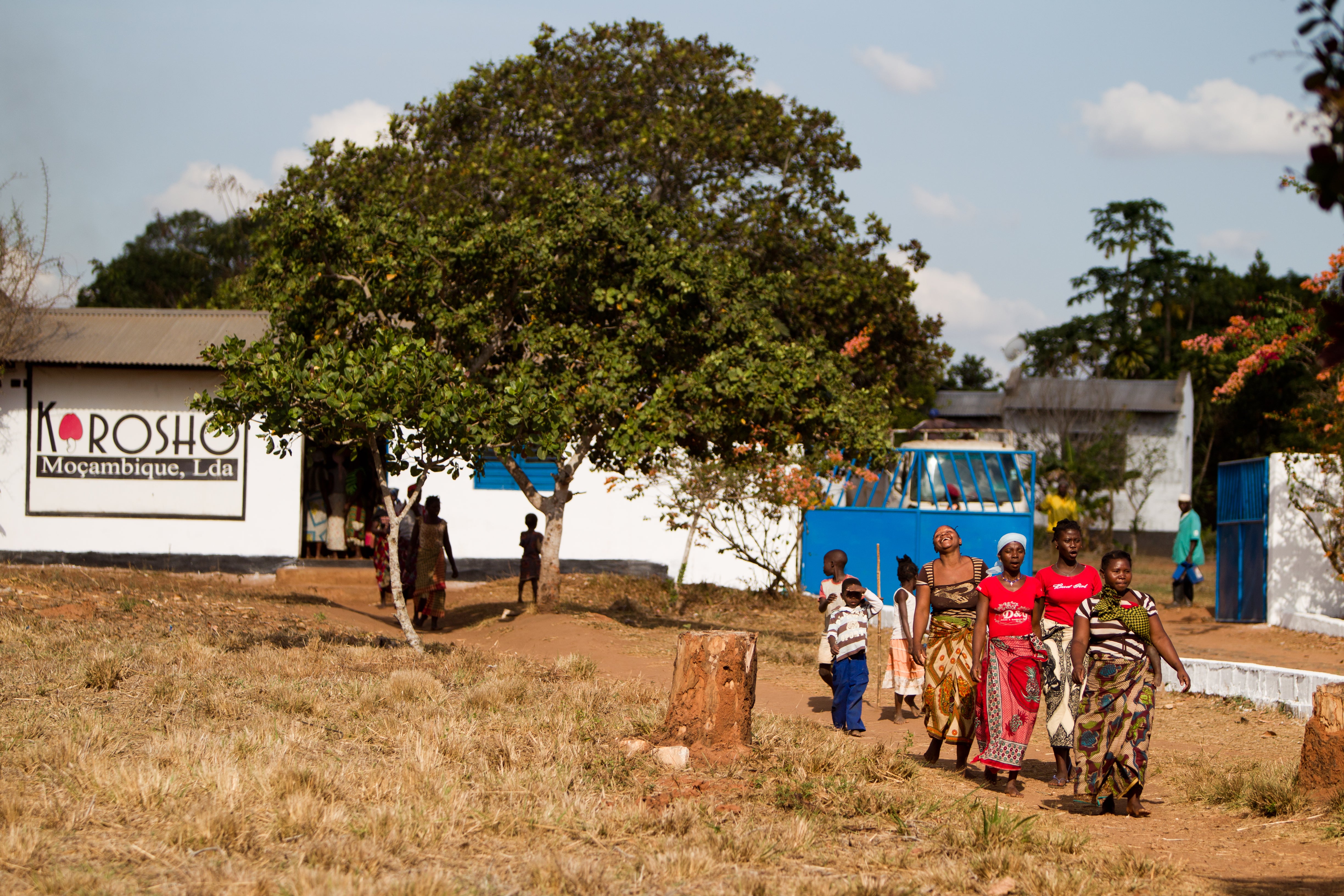 ETG Announcement Photo