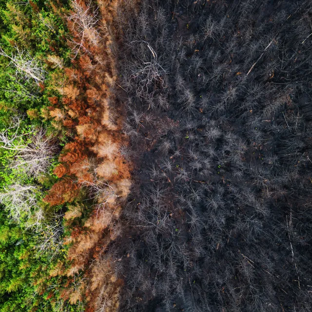 aerial view of wildfire damage